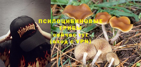 стаф Гусиноозёрск