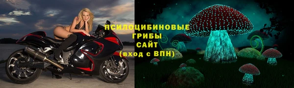 прущие крисы Горно-Алтайск
