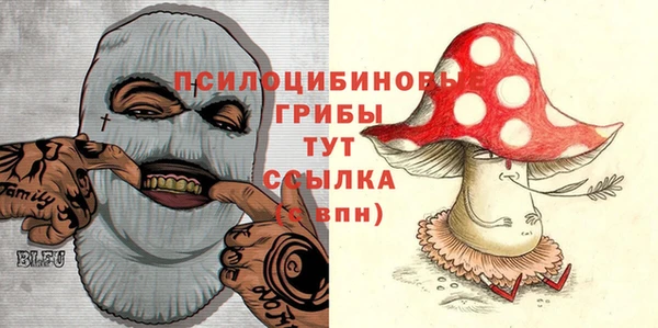 героин Горняк