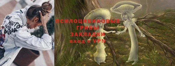 прущая мука Гусев